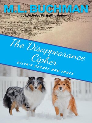 cover image of The Disappearance Cipher